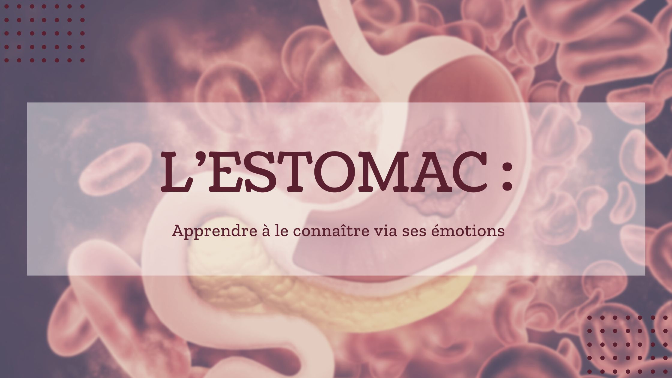 Image éducative avec texte 'INTESTIN GRÊLE : Approches anatomique, énergétique et somatique' sur un fond d'illustration d'intestins