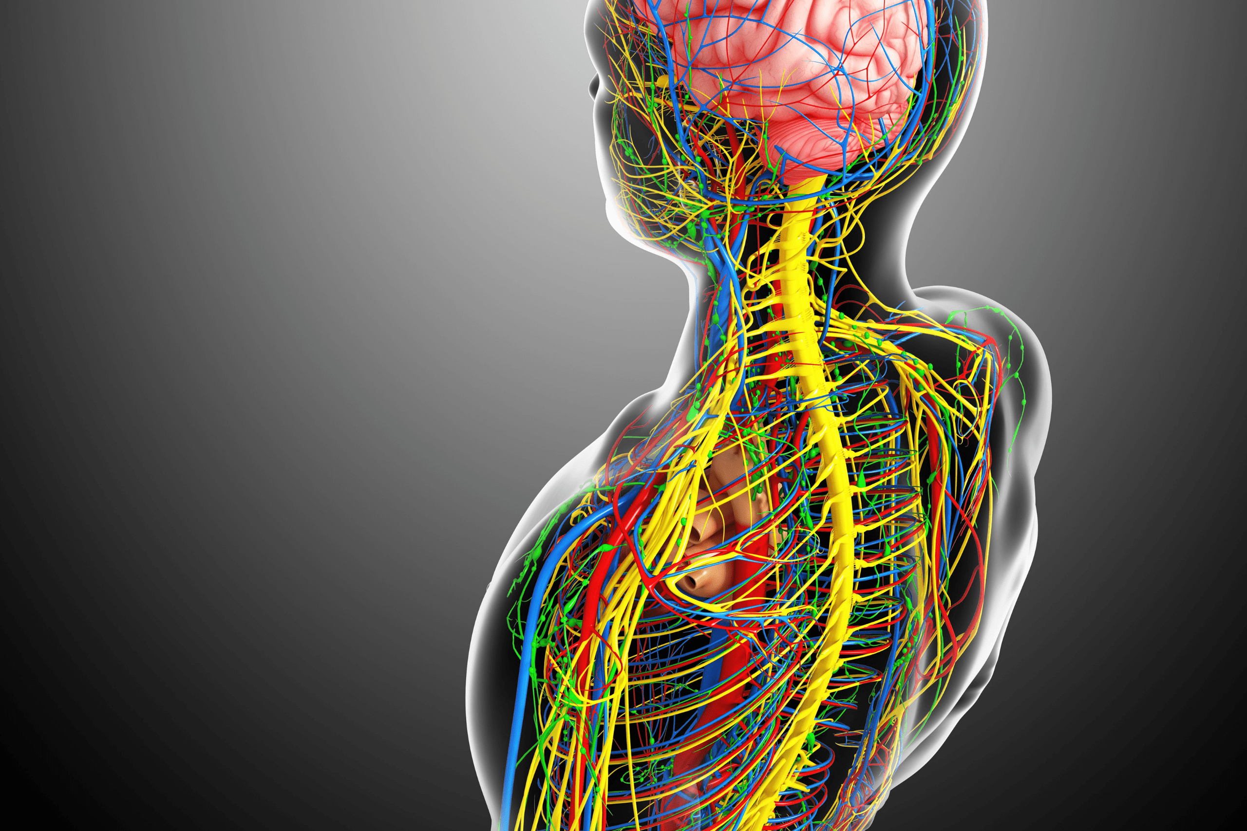 chi nei tsang,massage chi nei tsang,chi nei tsang paris,chi nei tsang paris 13,chi nei tsang paris 10,chi nei tsang paris centre,chi nei tsang ile de france,lien corps esprit,chi nei tsang massage du ventre,chi nei tsang massage,massage abdominal,massage abdominal paris,chi nei tsang paris,chi nei tsang tarif,chi nei tsang definition