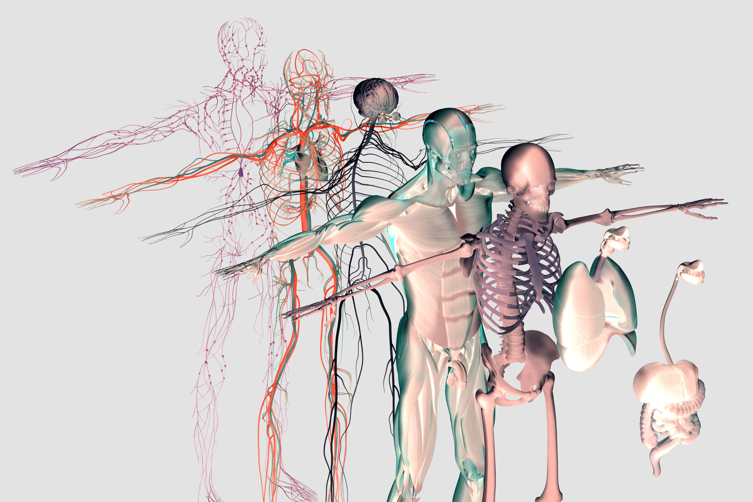 chi nei tsang,massage chi nei tsang,chi nei tsang paris,chi nei tsang paris 13,chi nei tsang paris 10,chi nei tsang paris centre,chi nei tsang ile de france,lien corps esprit,chi nei tsang massage du ventre,chi nei tsang massage,massage abdominal,massage abdominal paris,chi nei tsang paris,chi nei tsang tarif,chi nei tsang definition