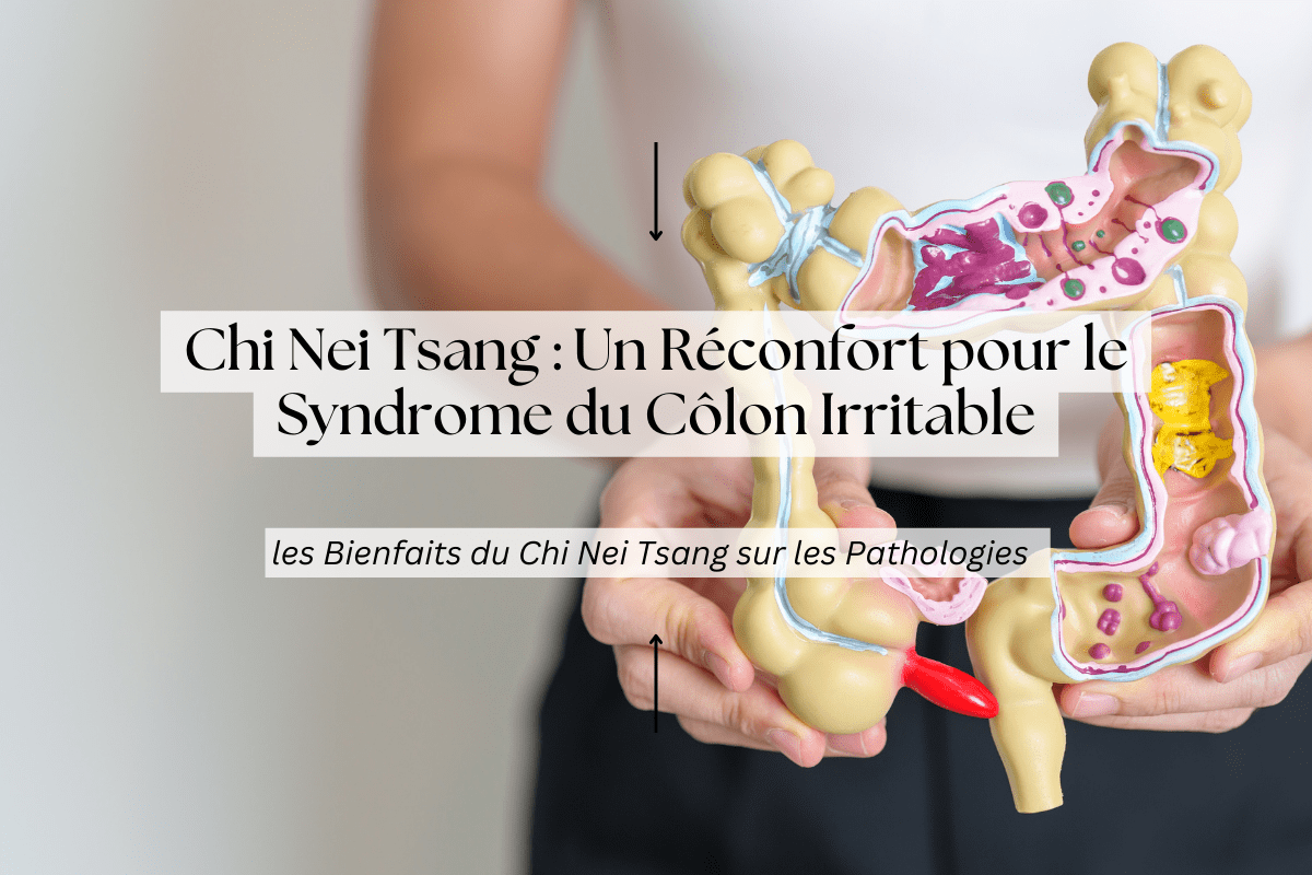 Image d'une personne tenant un modèle anatomique du système digestif avec le titre "Chi Nei Tsang : Un Réconfort pour le Syndrome du Côlon Irritable" et un sous-titre "Les Bienfaits du Chi Nei Tsang sur les Pathologies.
